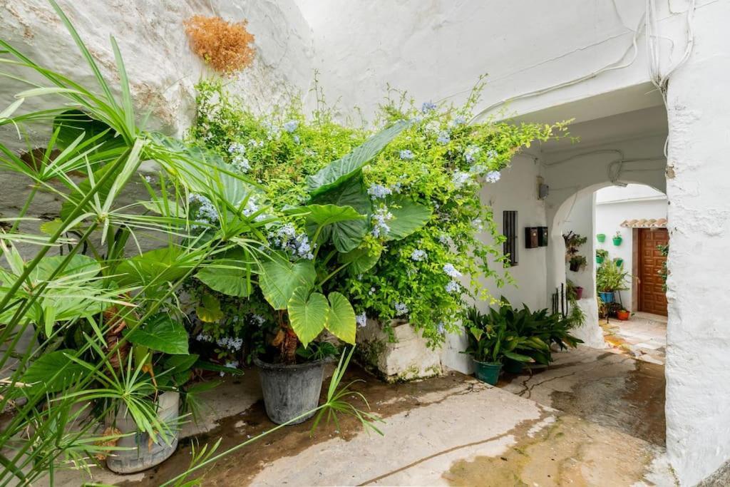 Preciosa Casa Independiente Con Increibles Vistas Vejer de la Frontera Exterior photo